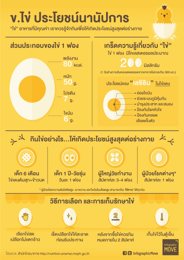 ข.ไข่ประโยชน์นานัปการ